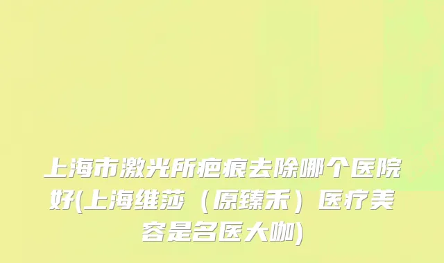 上海市激光所疤痕去除哪个医院好(上海维莎（原臻禾）医疗美容是名医大咖)