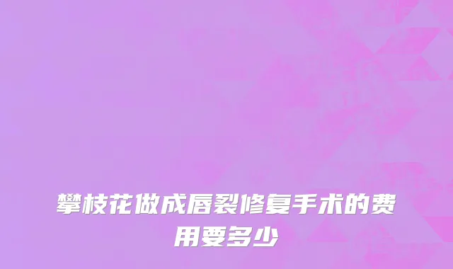 攀枝花做成唇裂修复手术的费用要多少