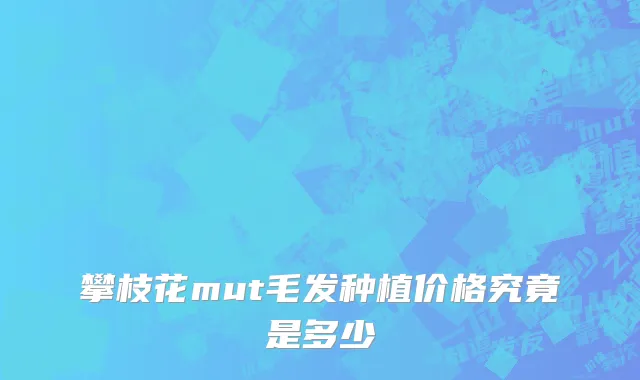 攀枝花mut毛发种植价格究竟是多少