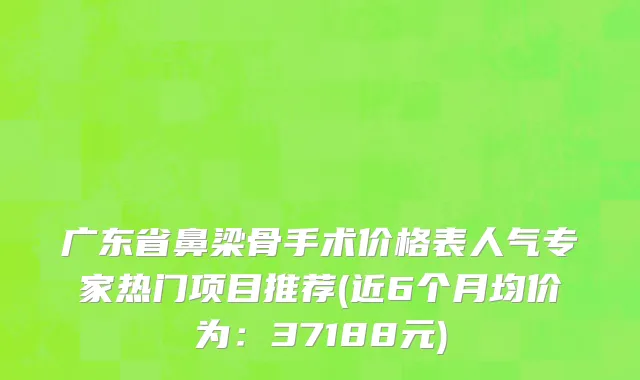 广东省鼻梁骨手术价格表人气专家热门项目推荐(近6个月均价为：37188元)