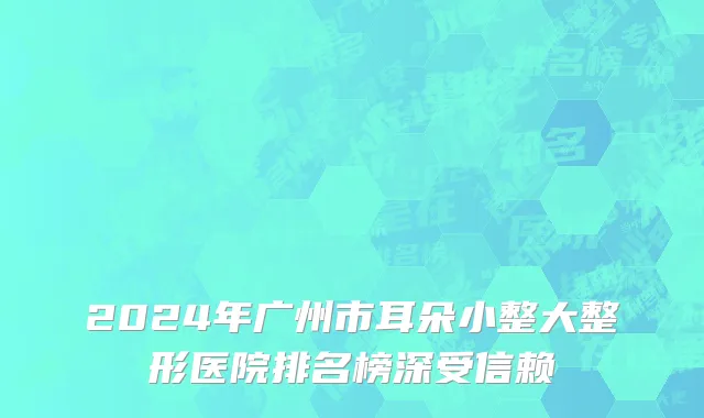 2024年广州市耳朵小整大整形医院排名榜深受信赖