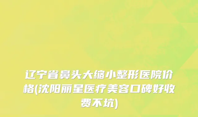 辽宁省鼻头大缩小整形医院价格(沈阳丽星医疗美容口碑好收费不坑)