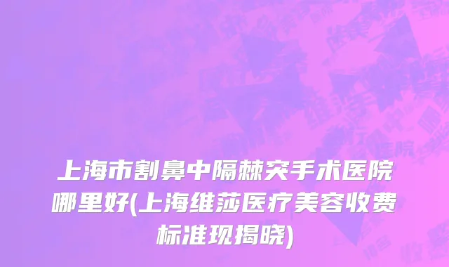 上海市割鼻中隔棘突手术医院哪里好(上海维莎医疗美容收费标准现揭晓)