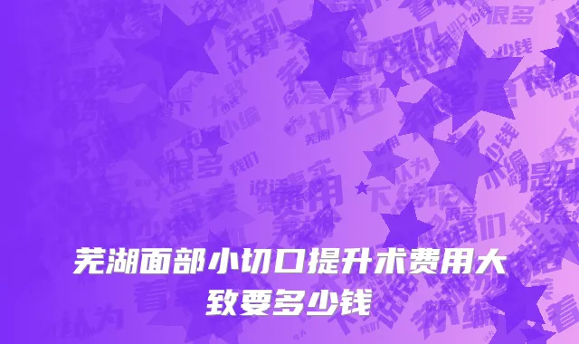 芜湖面部小切口提升术费用大致要多少钱