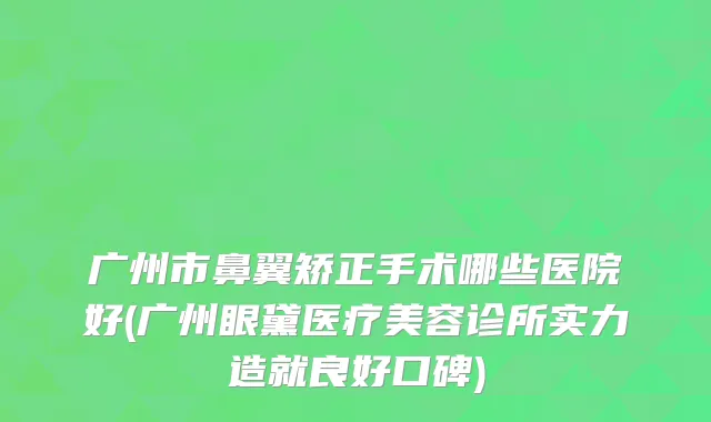 广州市鼻翼矫正手术哪些医院好(广州眼黛医疗美容诊所实力造就良好口碑)