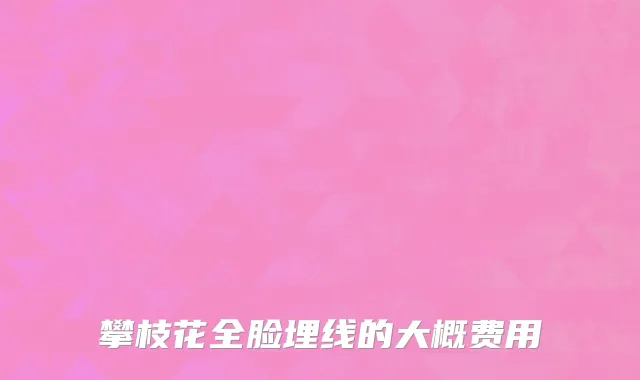 攀枝花全脸埋线的大概费用