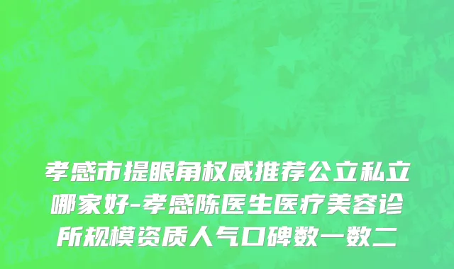 孝感市提眼角权威推荐公立私立哪家好-孝感陈医生医疗美容诊所规模资质人气口碑数一数二