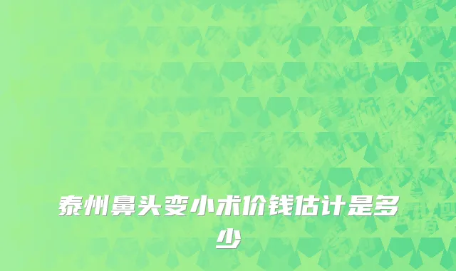 泰州鼻头变小术价钱估计是多少