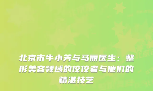 北京市牛小芳与马丽医生：整形美容领域的佼佼者与他们的精湛技艺