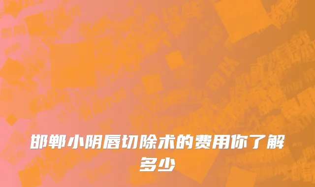 邯郸小阴唇切除术的费用你了解多少