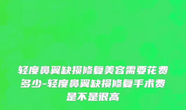轻度鼻翼缺损修复美容需要花费多少-轻度鼻翼缺损修复手术费是不是很高