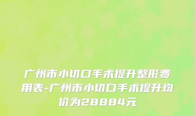 广州市小切口手术提升整形费用表-广州市小切口手术提升均价为28884元