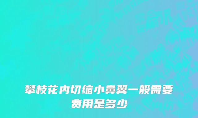 攀枝花内切缩小鼻翼一般需要费用是多少