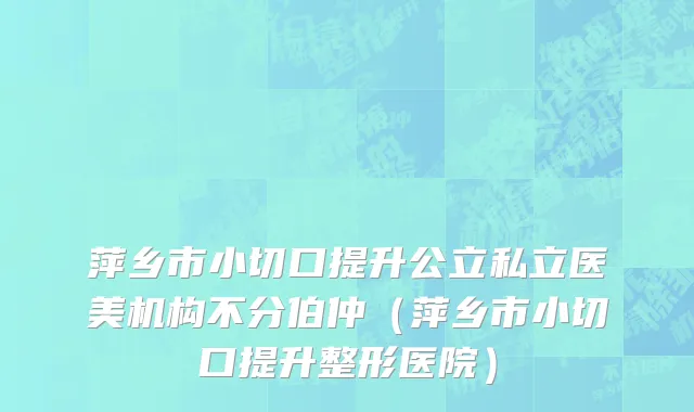 萍乡市小切口提升公立私立医美机构不分伯仲（萍乡市小切口提升整形医院）