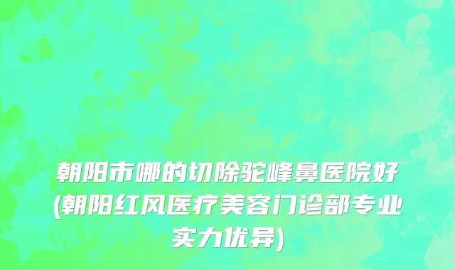 朝阳市哪的切除驼峰鼻医院好(朝阳红风医疗美容门诊部专业实力优异)