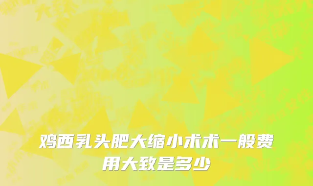 鸡西乳头肥大缩小术术一般费用大致是多少