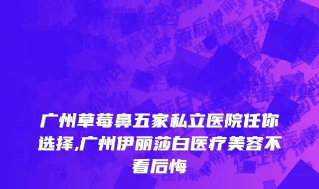 广州草莓鼻五家私立医院任你选择,广州伊丽莎白医疗美容不看后悔