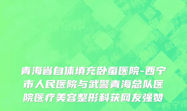 青海省自体填充卧蚕医院-西宁市人民医院与武警青海总队医院医疗美容整形科获网友强赞