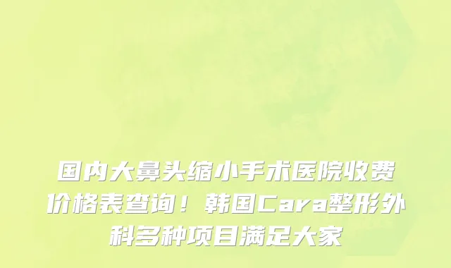 国内大鼻头缩小手术医院收费价格表查询!韩国Cara整形外科多种项目满足大家