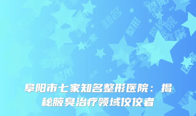阜阳市七家知名整形医院：揭秘腋臭治疗领域佼佼者