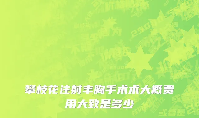 攀枝花注射丰胸手术术大概费用大致是多少