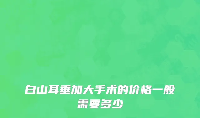 白山耳垂加大手术的价格一般需要多少
