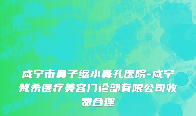 咸宁市鼻子缩小鼻孔医院-咸宁梵希医疗美容门诊部有限公司收费合理