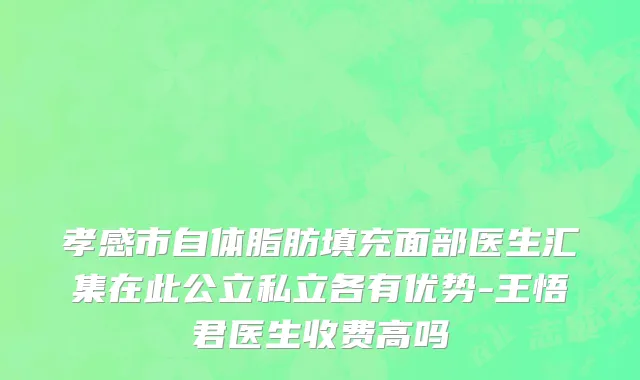孝感市自体脂肪填充面部医生汇集在此公立私立各有优势-王悟君医生收费高吗