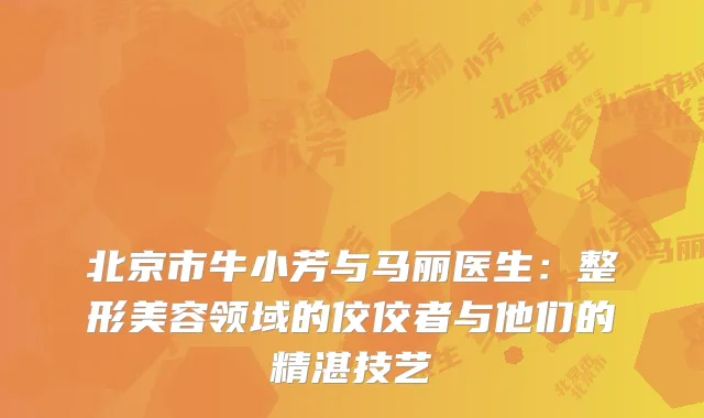 北京市牛小芳与马丽医生：整形美容领域的佼佼者与他们的精湛技艺