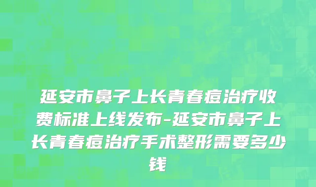 延安市鼻子上长青春痘治疗收费标准上线发布-延安市鼻子上长青春痘治疗手术整形需要多少钱