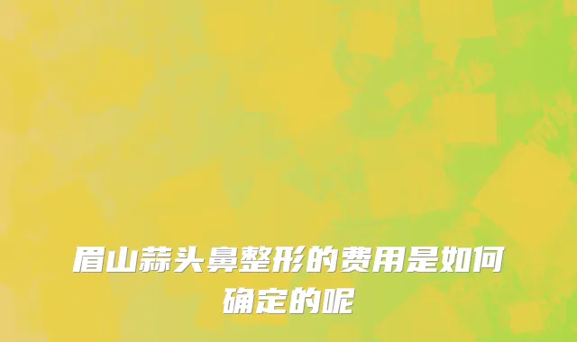 眉山蒜头鼻整形的费用是如何确定的呢