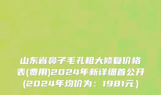 山东省鼻子毛孔粗大修复价格表(费用)2024年新详细首公开(2024年均价为：1981元）