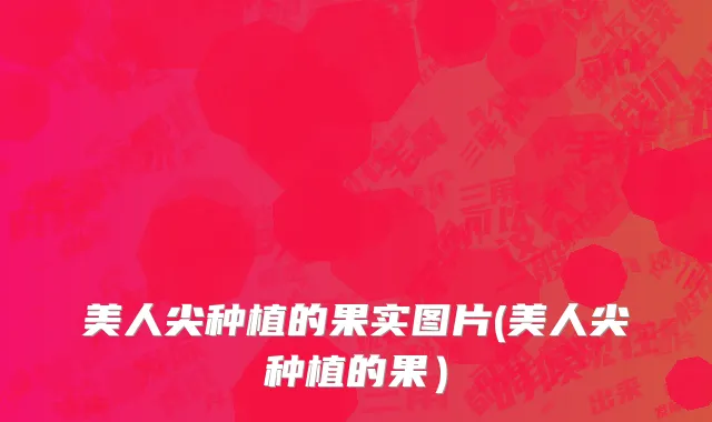 美人尖种植的果实图片(美人尖种植的果）