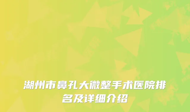 湖州市鼻孔大微整手术医院排名及详细介绍