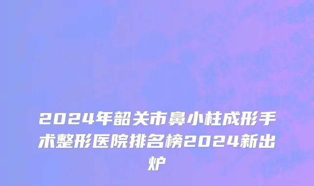 2024年韶关市鼻小柱成形手术整形医院排名榜2024新出炉