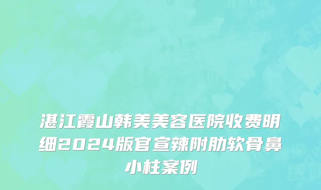 湛江霞山韩美美容医院收费明细2024版官宣辣附肋软骨鼻小柱案例