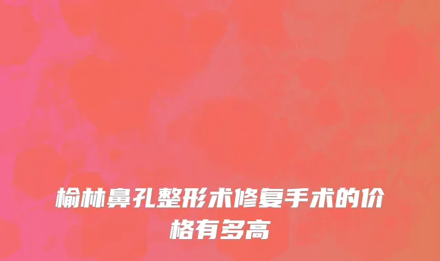 榆林鼻孔整形术修复手术的价格有多高